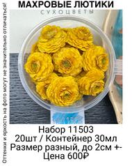 026f75e22d744f75a4a731a55cfff314