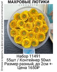 02bcb6b3178d47a2a7bdd76e5002b3bf