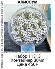 059bb2132bba48eeb843a91754965698