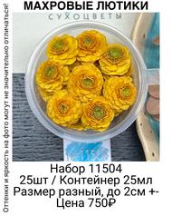 0e1cfa8a8bc044aebe56ba9d0d927a7e