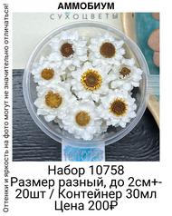 103fc3025b6043de8157786bb60782e8