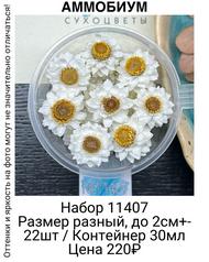 1226f4895bba4cd5bc39818b364498c4