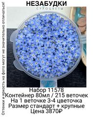 131dfc24648741f590117f83ea4ab08c