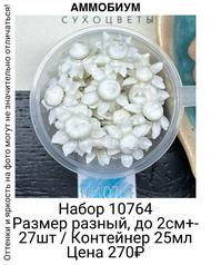 15096dbace7946aaade04bdd34f008f5