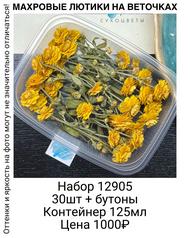 1515843fd7b34dcda949b2638f7ef09c