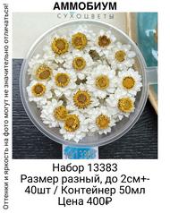 18572ea5a3064e7c87d7b40370cf28dd