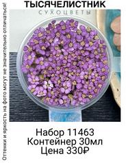 1a26698bf8d4448495da53bfff98aacb