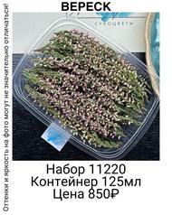 2121036f36b14b4c9d24381c41bec9d1