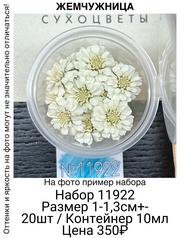 238d5e210a624a048bdfd5519665c1df