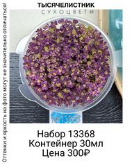 287e0644cdac4255a191f8a676bb092d