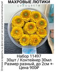 2b1a676d0603450ea0688c992b0ad350