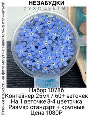 2bed8a4d05af40dc829000881695ee21