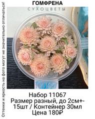 2fe2d12d6bc14b6195634b6ff73efe41