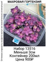 359f943032664d5a8db51a1881b9c13a