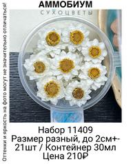 35dfa04a2ac446dbbe9411f711c82a2d