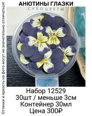 36cc142478e04ca993272746da44e250