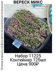 43413e7ba2984cf494eb09bf66819dbd