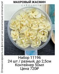 43c7d61c9e484f3cbe0a5c57321a6a40