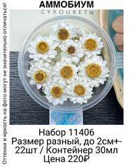 5163eaab42f14388879611907443175c