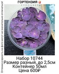 51a77f4ce51f42acb87060eda800e200