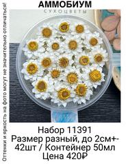 5315d73f858b45b9b40ab1f743df4473