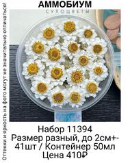 55051a83f2f74dd79b31620c449659e4