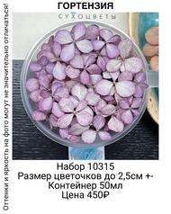 55509862dd31439caa345b3fe46d537c