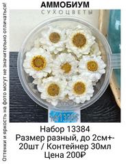 556a2294224a4e05a33b37832e02815e