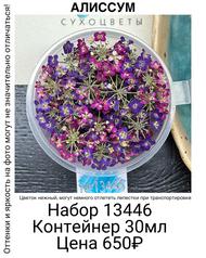 60abb1abe05c42c5bb8d15ad78116957