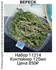 734a519843124c35a980ea9d351bbce8