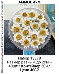 7ad9658a556a4b0a925d508c3533ce5a