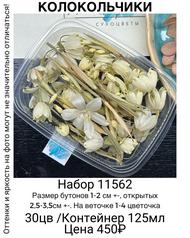 7e5ec12cdd924669b98f5e19e1d12971