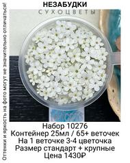 7f63f26275bb43a2bb819499cc72901c