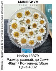 81bad8c0d026487fa772f5604570659b