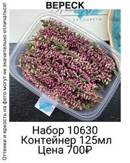 848a104562854fa7990626d3958f249f