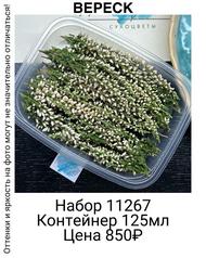 8697f336ede44b6da3440408b5863008