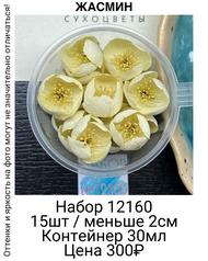 8873bceeb069439db8715aaedb218878