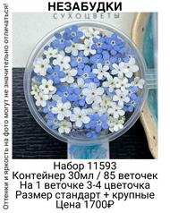 8d278596e74e487fb12f35b3a617107b