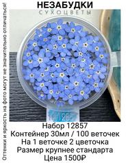 8e825042d58d4627a25b41fcca5be956