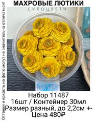 8fae9e233d1b4f80a52d48bf437ba6a9