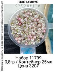 911285f8518647c1942382d1c50f65fc