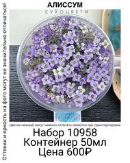 9448d1178abb484e8e942e5b6fe79222