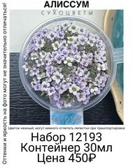 950a2c59584542e989b163721141697c