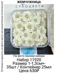 95d8019e1fc44dceaad30f3c54401892