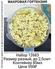 990769a7c7df40189200e7c1c6682271