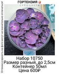 9dbbaf2739e74bfcab4379224c5a78f6