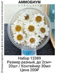 a0cc6e25c76e49a69430358d828878dc