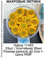 a1425979aa244591a4f39cde9ec24fcb