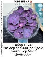a1b560bc017541c289b483a125cf87e4