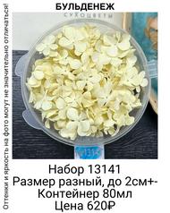 a3a1ce63c6e247afa8cb220b95cbcdb2